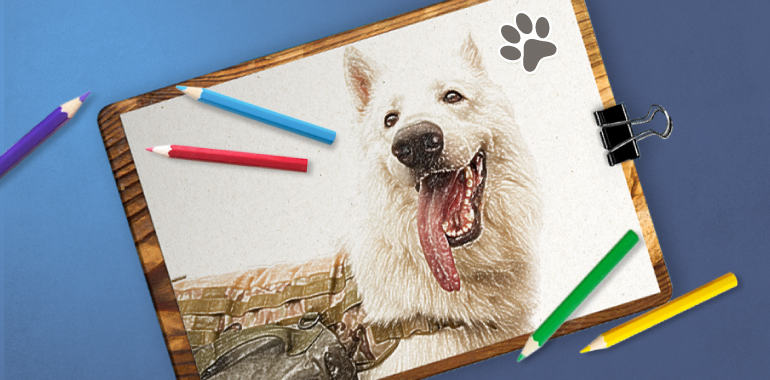 Жители Марий Эл могут нарисовать портреты фронтовых собак на конкурс от Музея Победы