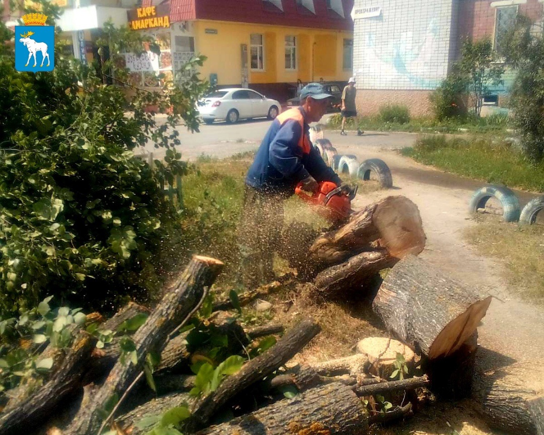 В Йошкар-Оле убирают поваленные ветром деревья