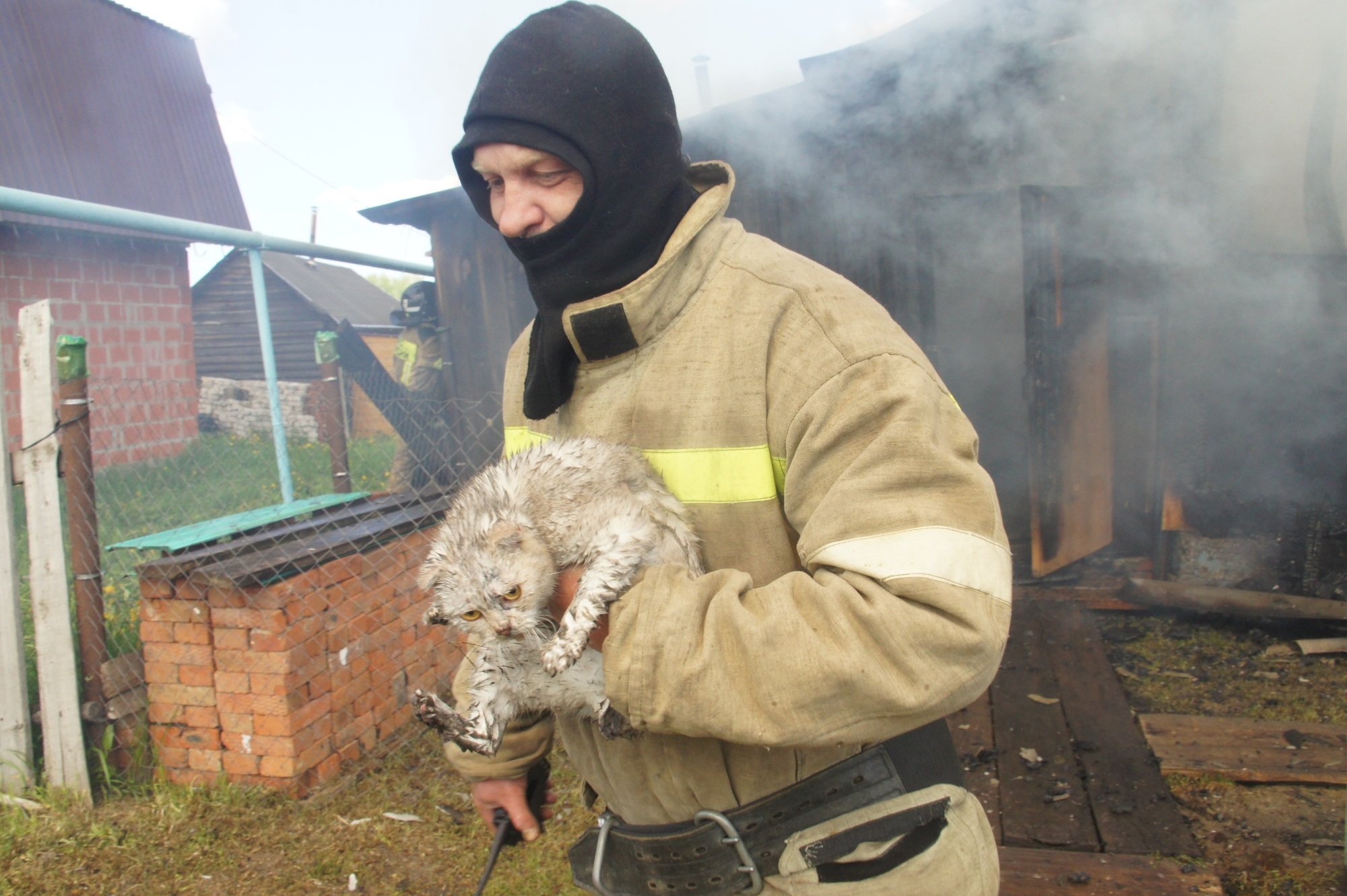 В Марий Эл пожарные спасли от огня кота 
