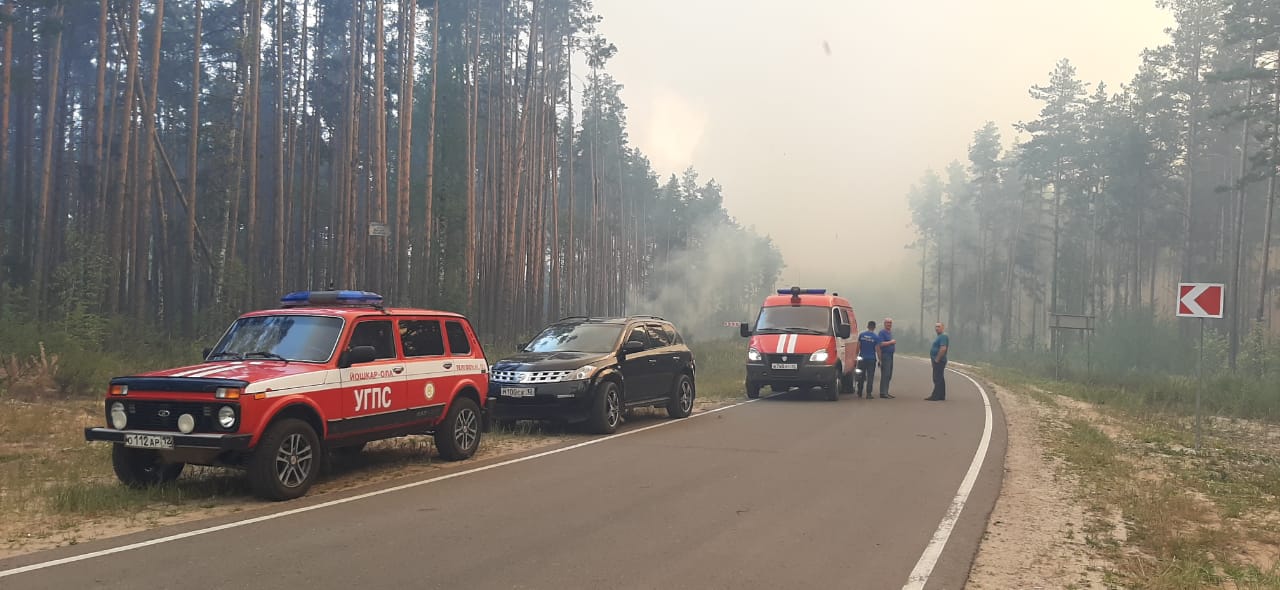 Ситуацию с пожаром в Медведевском районе взял под личный контроль Глава Марий Эл