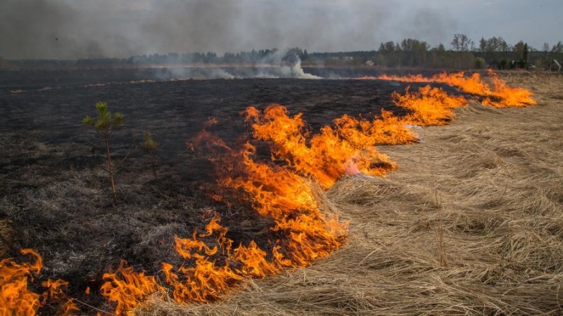 Сотрудники МЧС предупреждают о пожароопасном периоде в Марий Эл