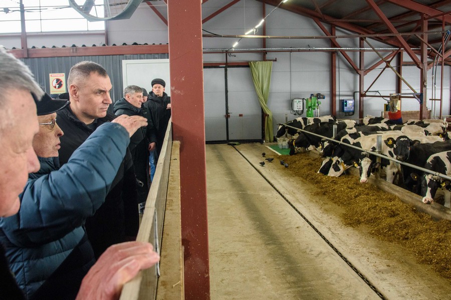 На базе колхоза «Первое Мая» в Новоторъяльском районе реализован инвестпроект по производству молока 