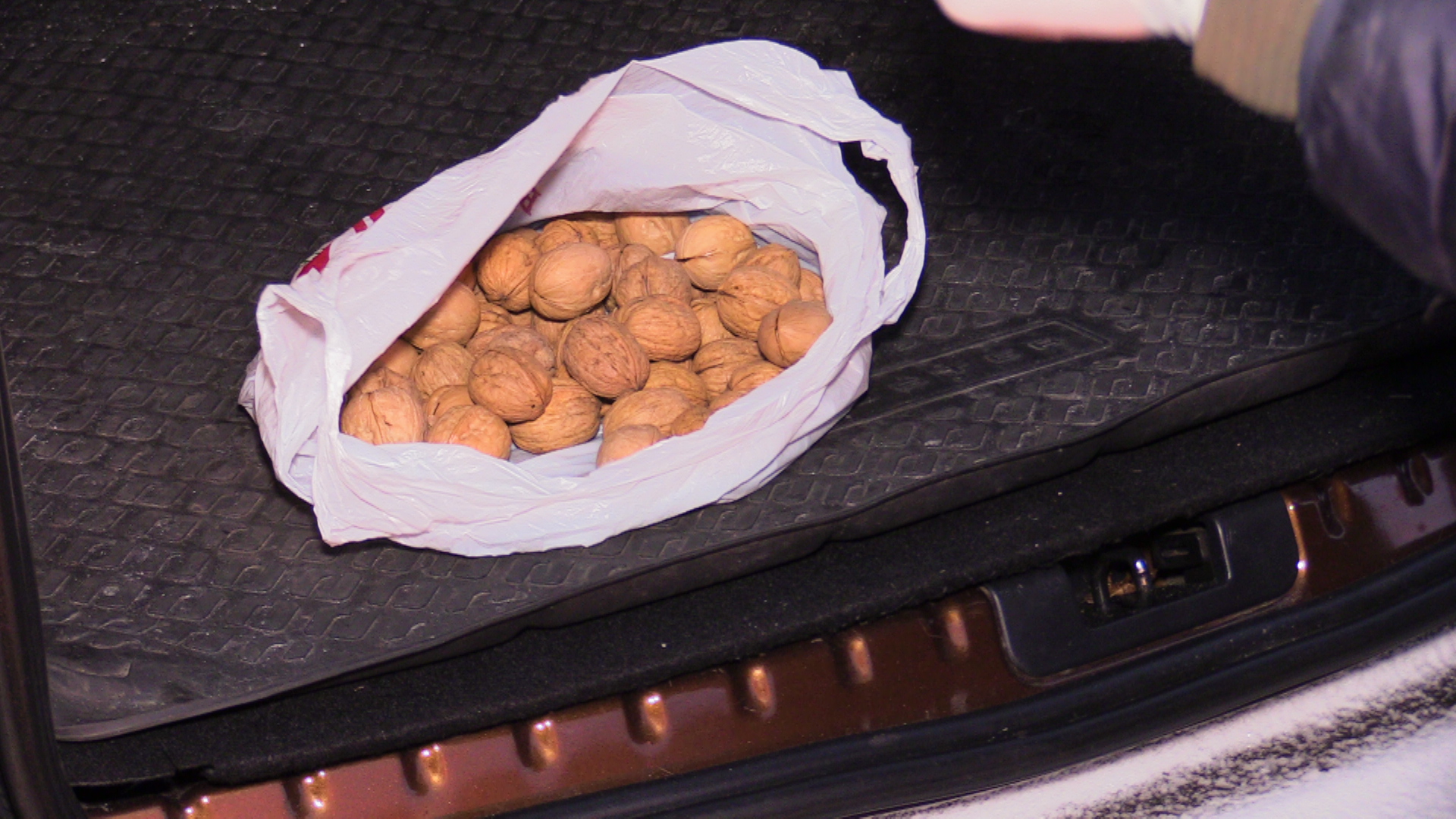Житель Марий Эл перевозил наркотики, замаскировав их под грецкие орехи