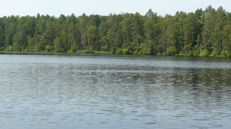 Глава Марий Эл подписал Указ о создании охранных зон на 12 озерах республики