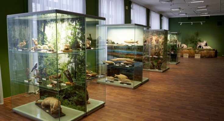 В три крупных музея Марий Эл будет закуплено современное оборудование для выставок 