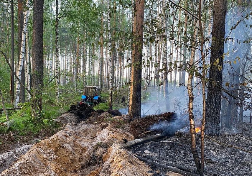 С начала сезона в лесах Марий Эл произошло 27 пожаров