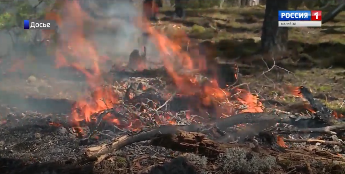 Марий Элна чодыра пожарым икымше суткаштак йӧртышо 30 российысе регион коклаш пурен