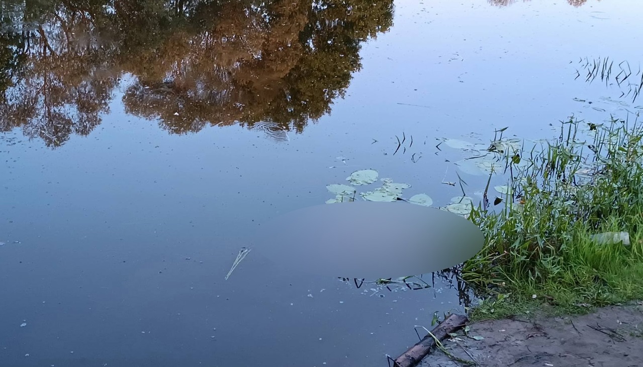 35-летняя женщина утонула в озере Звениговского района