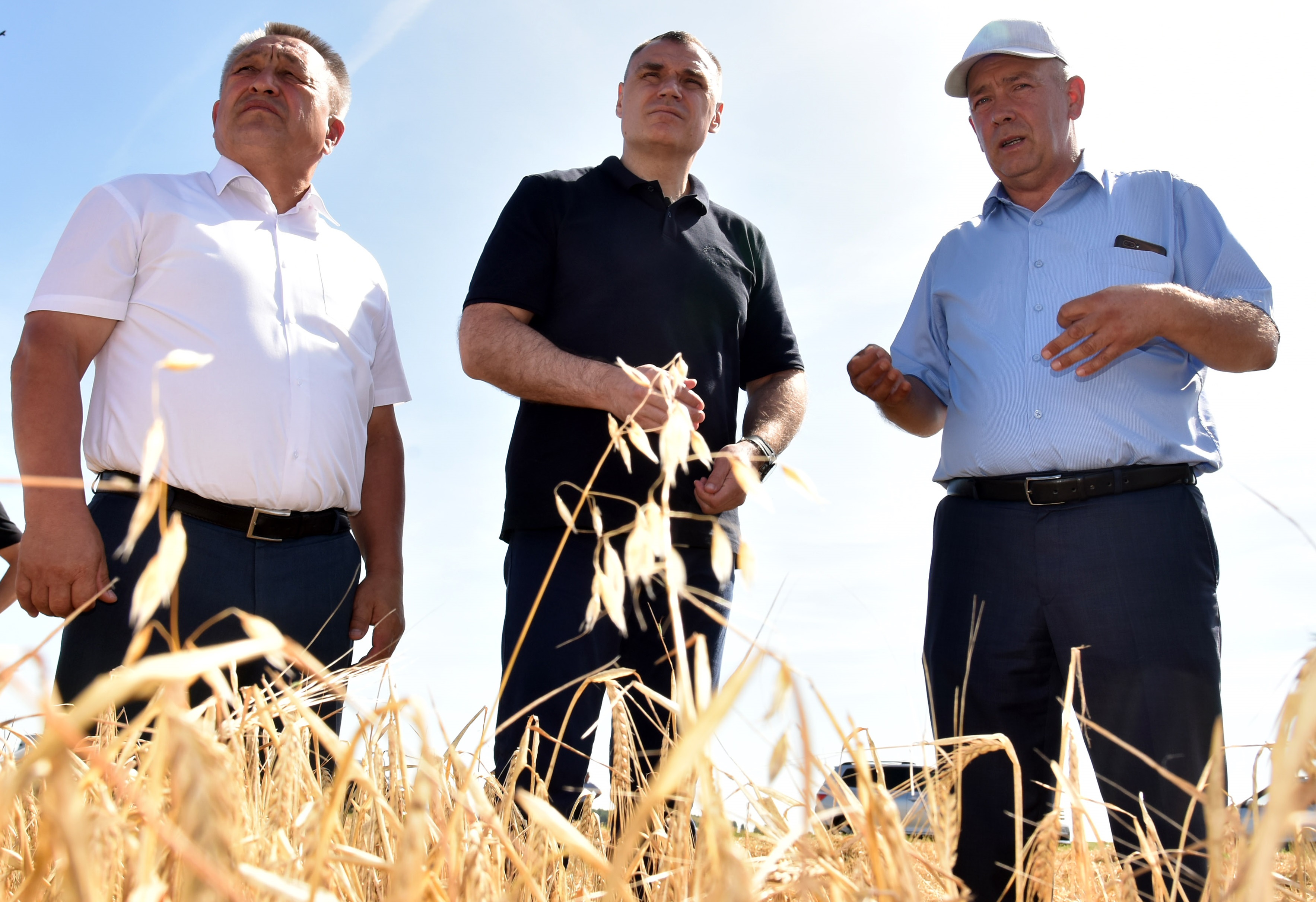 Сельхозпредприятия Параньгинского района в Марий Эл увеличивают объемы производства