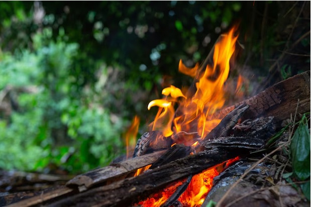 В лесах Марий Эл за сутки возникли два пожара