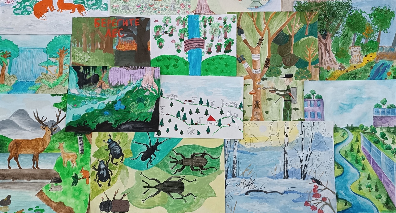 Лес в 3000 году и лесные пейзажи могут нарисовать школьники Марий Эл на всероссийский конкурс