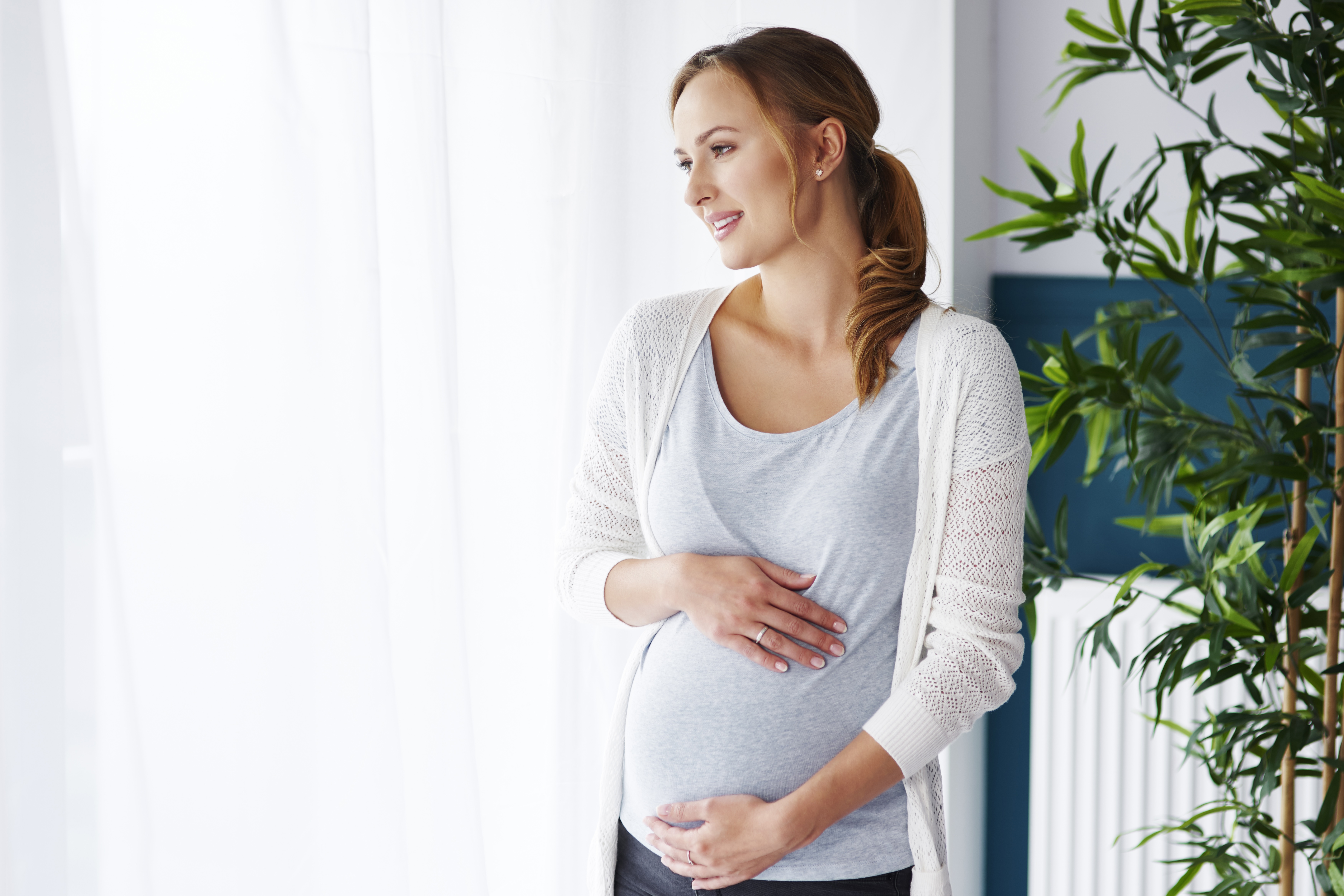 В Марий Эл выплаты беременным женщинам составили более 43 млн рублей 