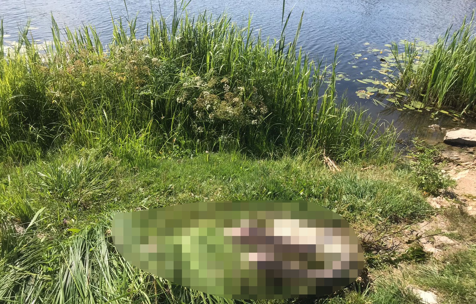 Из реки Малой Кокшаги в Марий Эл подняли тело пропавшего 18-летнего парня