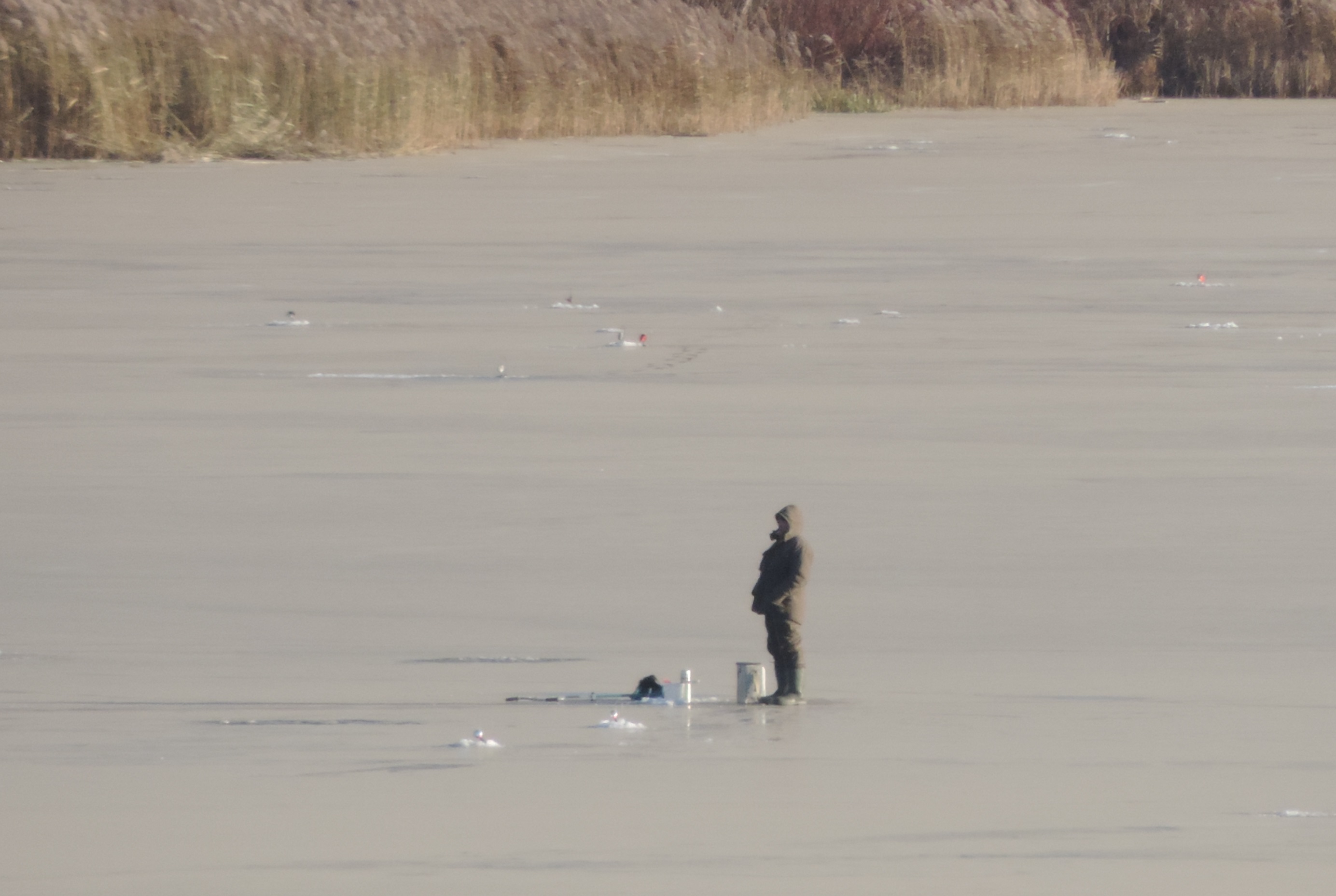 В Йошкар-Оле измерили толщину льда на Малой Кокшаге