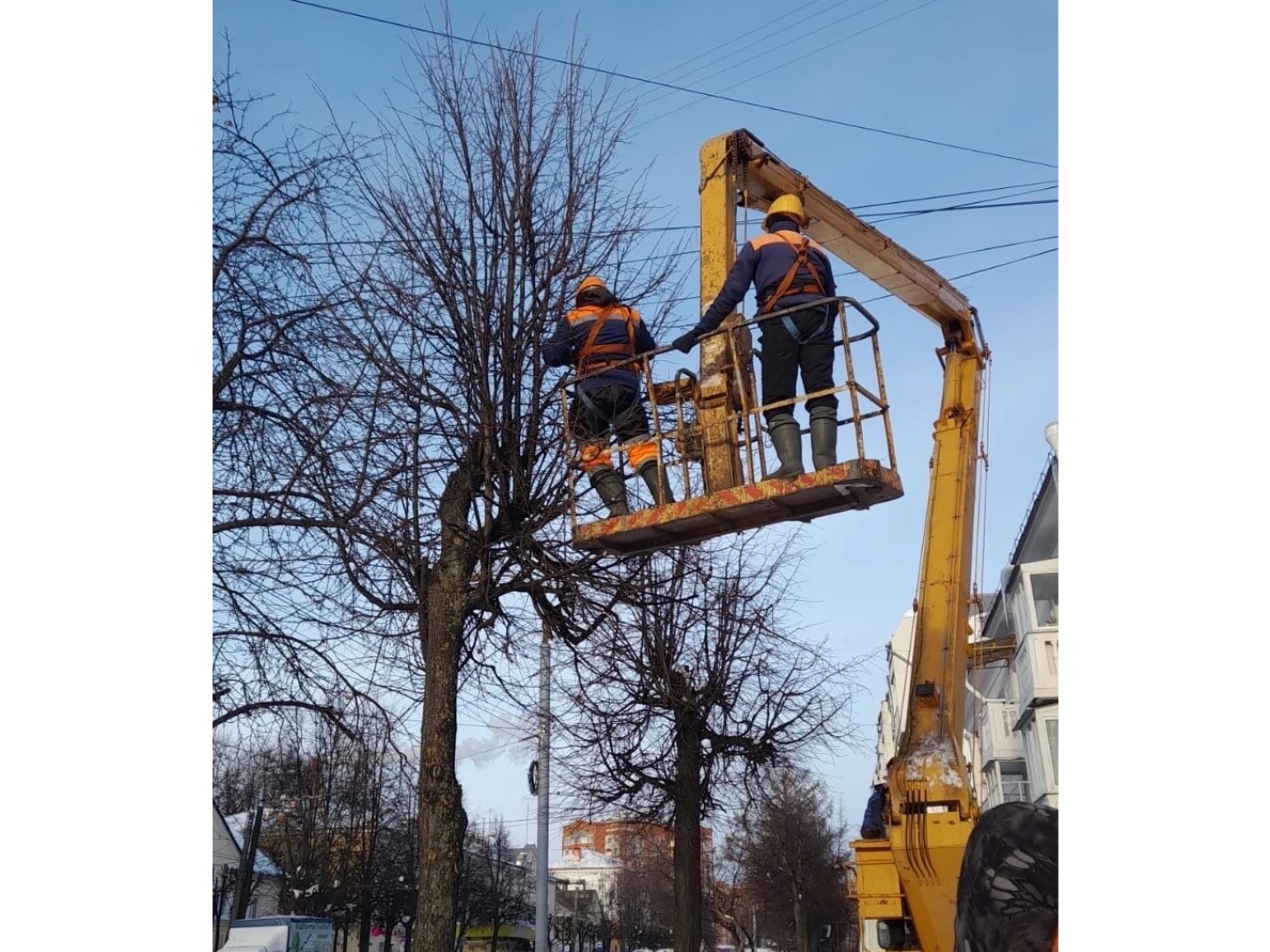 Коммунальные службы Йошкар-Олы приступили к обрезке деревьев
