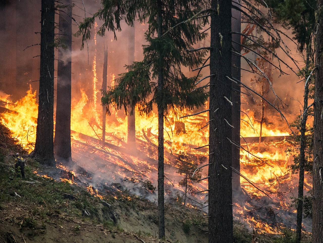 В Марий Эл с начала пожароопасного сезона произошло 13 лесных пожаров