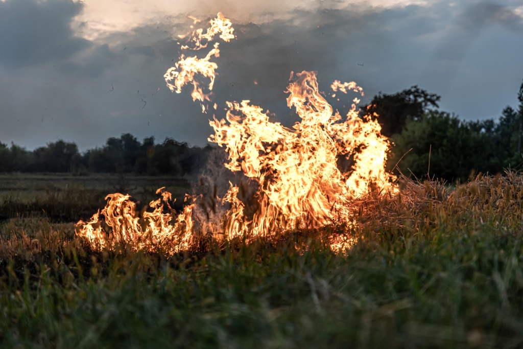 В Марий Эл зафиксировано 3 случая возгорания сухой травы