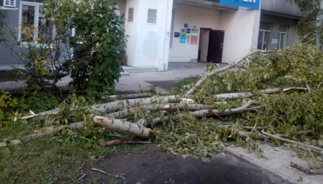 По 27 адресам в Йошкар-Оле убрали поваленные ураганом деревья